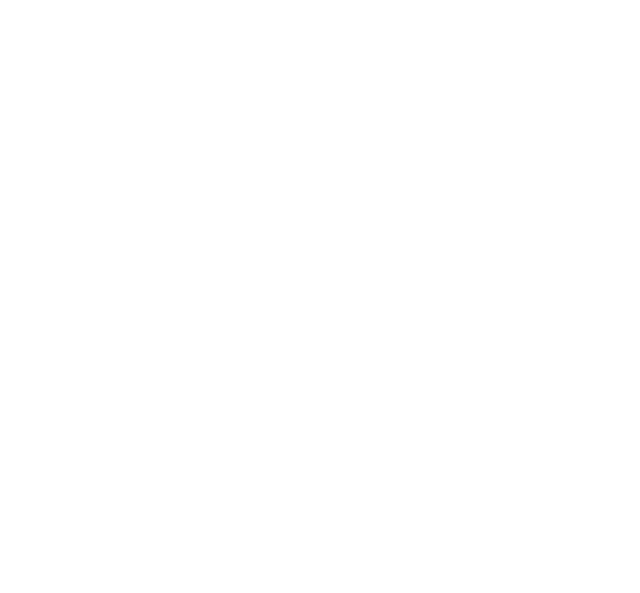 Boatastic