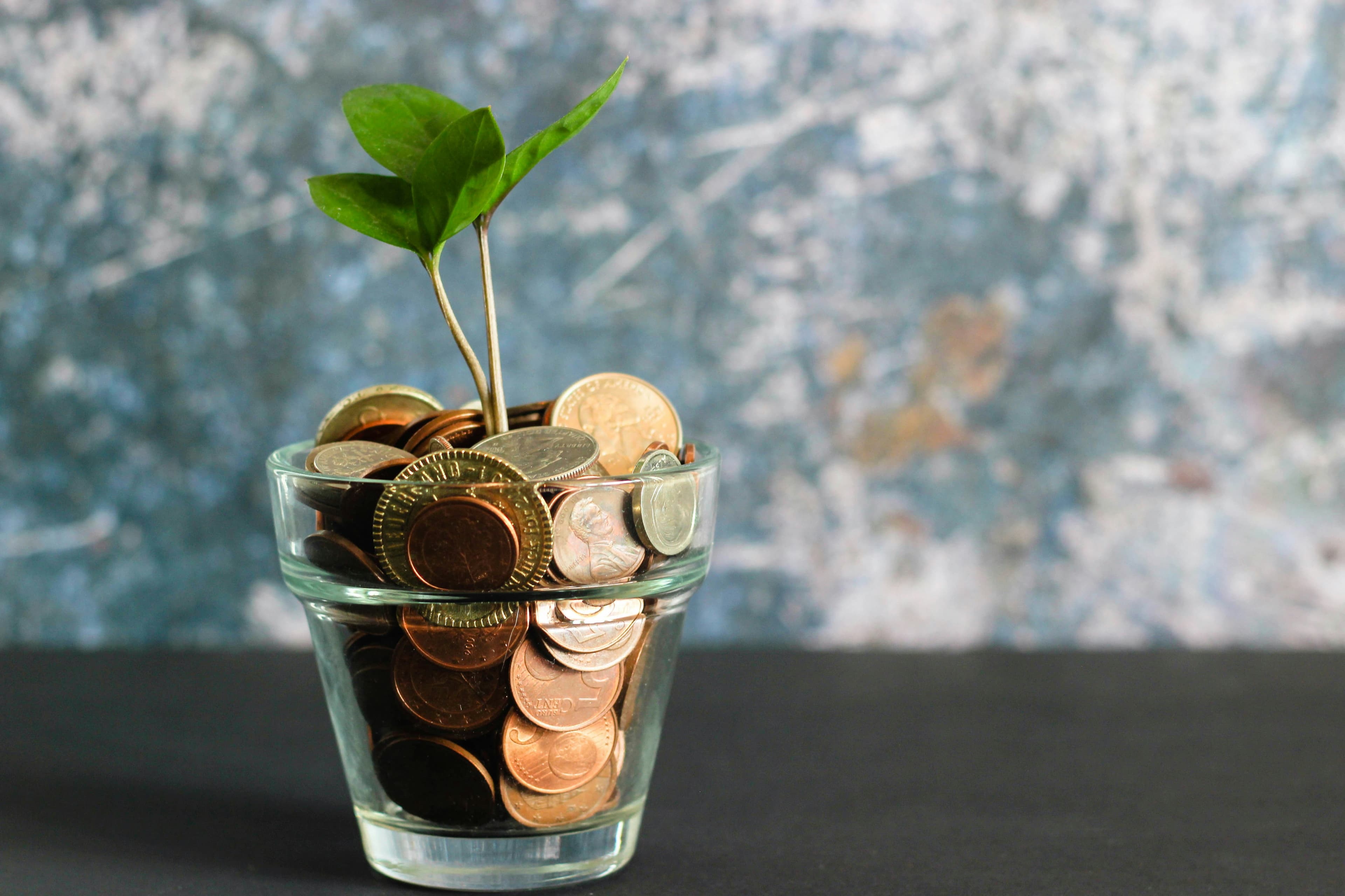 Financial Management